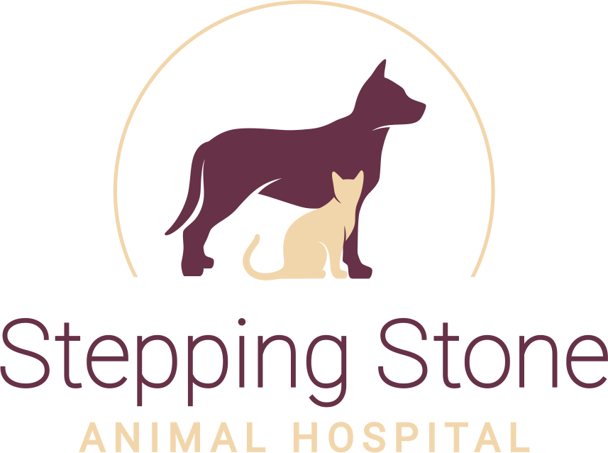 Stepping Stone Animal Hospital